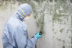 Mold Removal for HVAC Installations in Nelsonville, OH